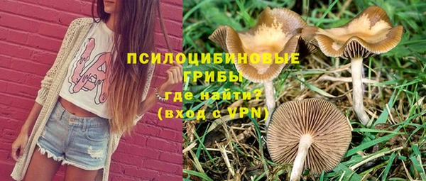 дурь Абдулино
