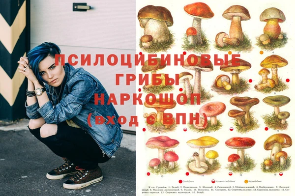 mix Абаза